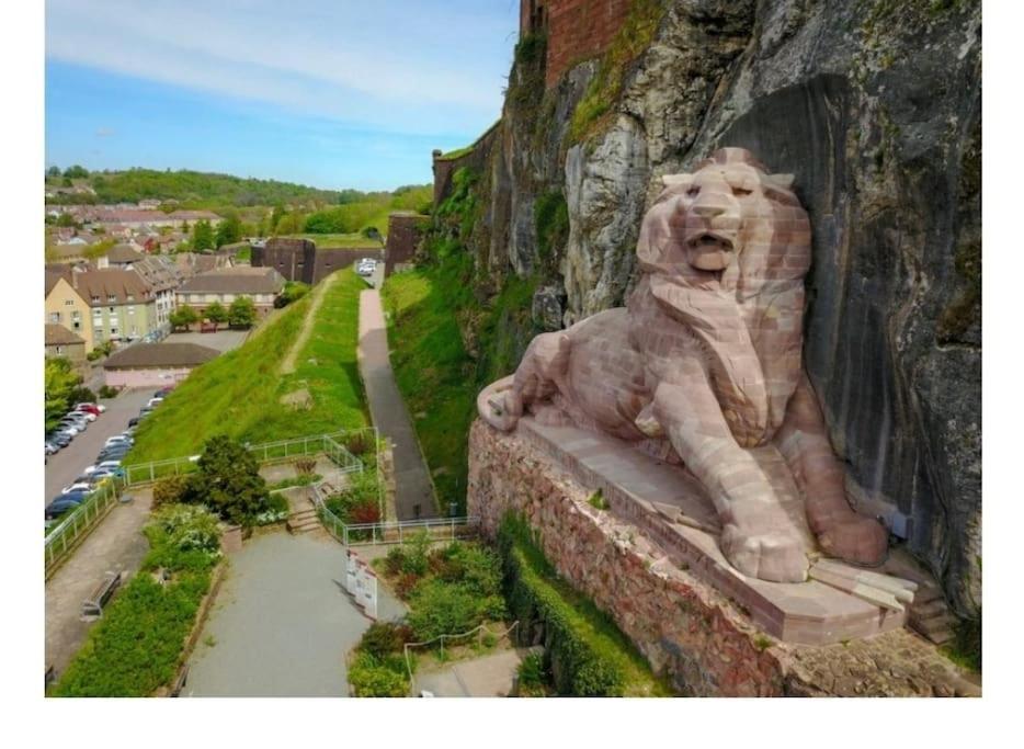 Maison Entre Ville Et Montagne Valdoie エクステリア 写真
